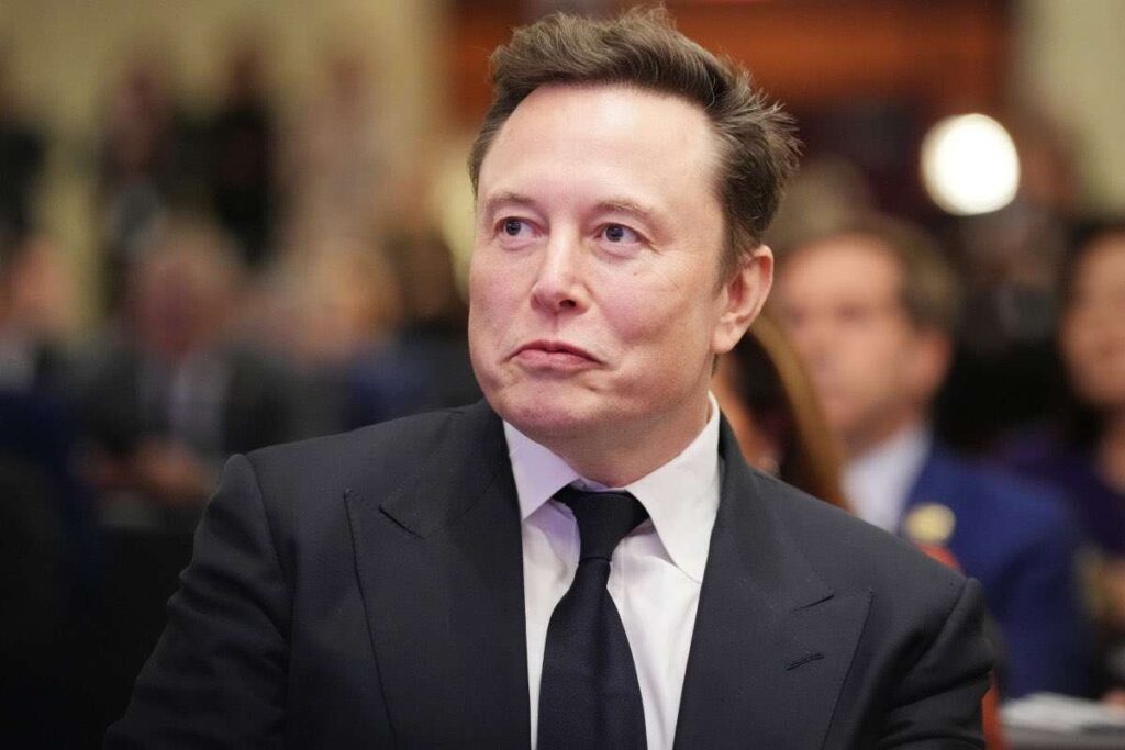 Elon Musk cosa ha detto